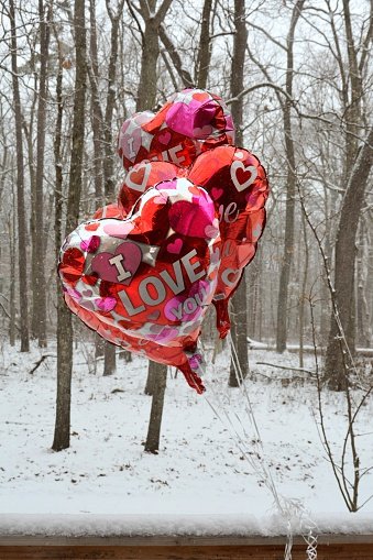 Пример оформления дня святого Валентина шарами с гелием #5