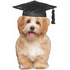 Фигурный шар Палевый щенок в шляпе выпускника, 81 см