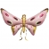 notify_thumb