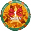 Шар-круг 1 сентября, на День знаний, с листиками, 46 см