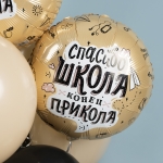 Шар-круг Прощание со школой, спасибо школа, 46 см 